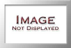 PP13001504
